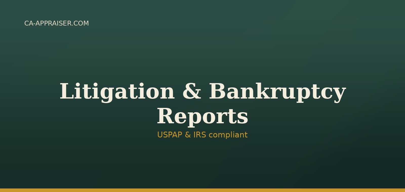 Expert Witness & Litigation Support